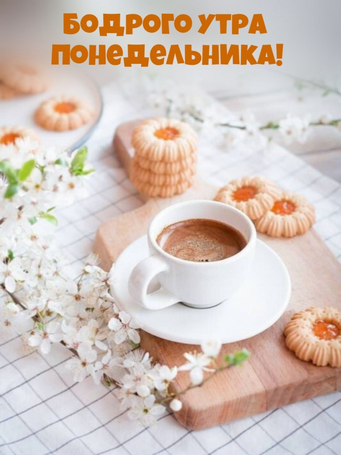 Картинки с Добрым утром понедельника (260 открыток).