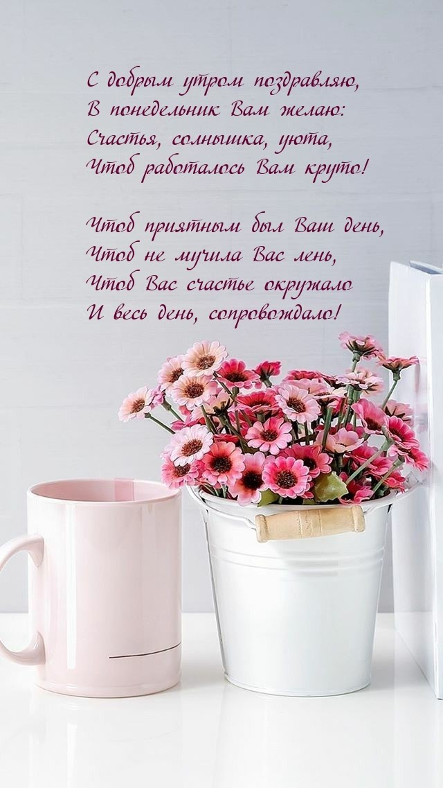 Картинки с Добрым утром понедельника (260 открыток).