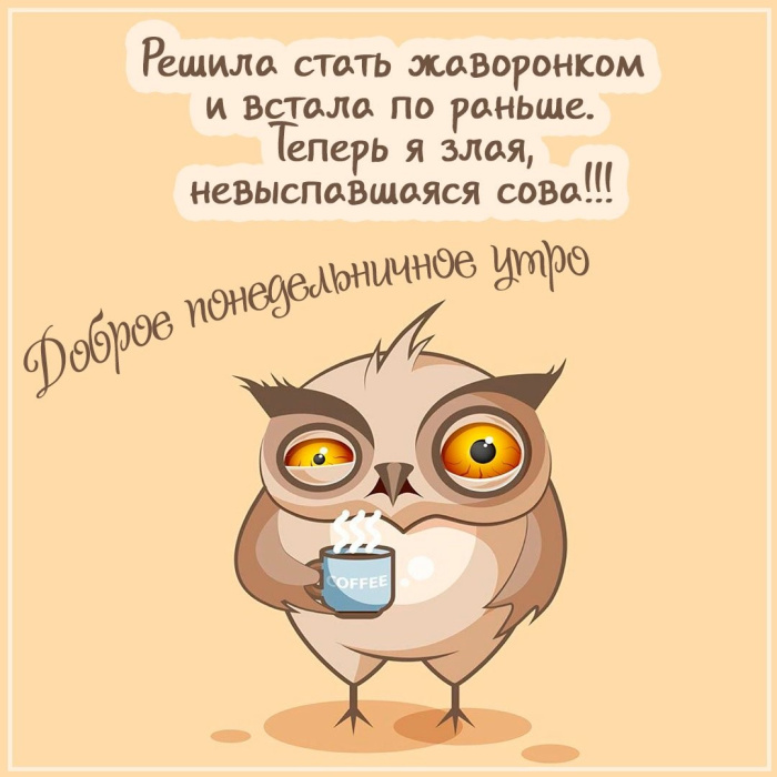 Картинки с Добрым утром понедельника (260 открыток).