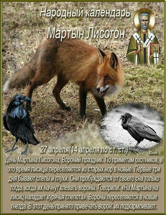 Картинки с Мартыном Лисогоном (15 открыток).