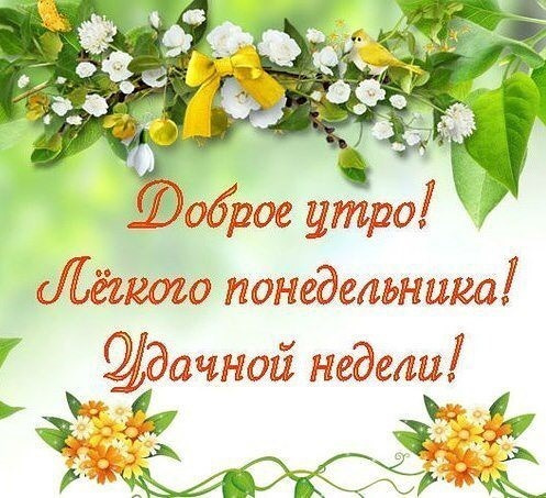 Картинки с Добрым утром понедельника (260 открыток).
