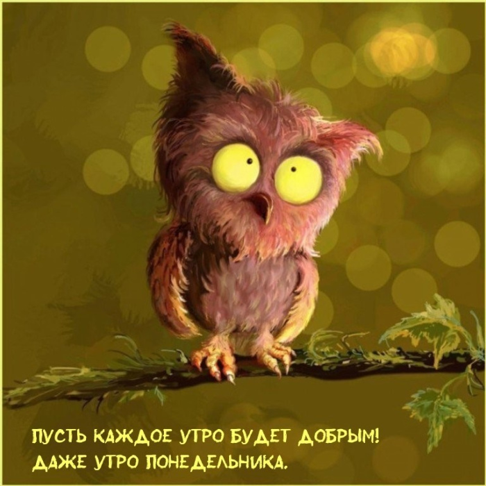 Картинки с Добрым утром понедельника (260 открыток).