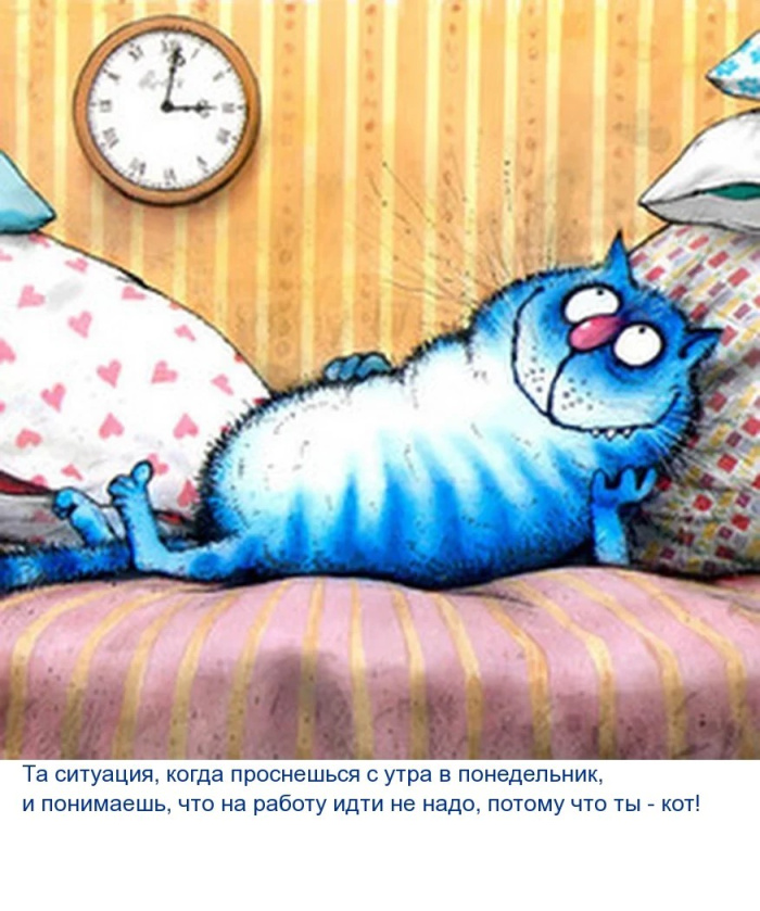 Картинки с Добрым утром понедельника (260 открыток).
