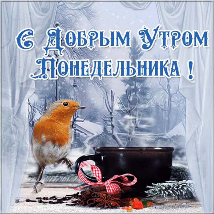 Картинки с Добрым утром понедельника (260 открыток).
