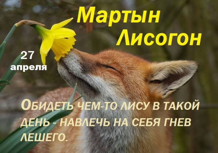 Картинки с Мартыном Лисогоном (15 открыток).
