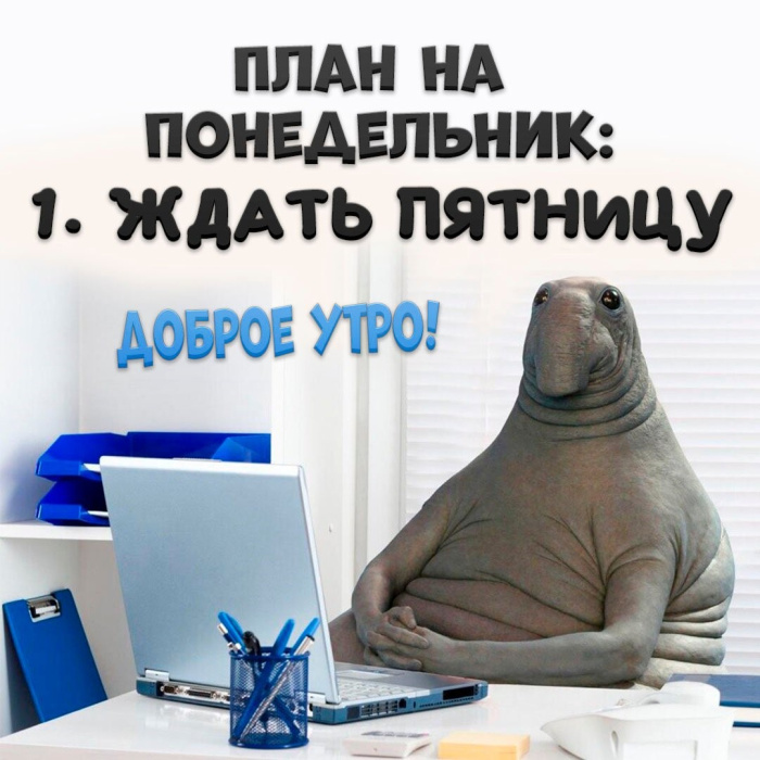 Картинки с Добрым утром понедельника (260 открыток).