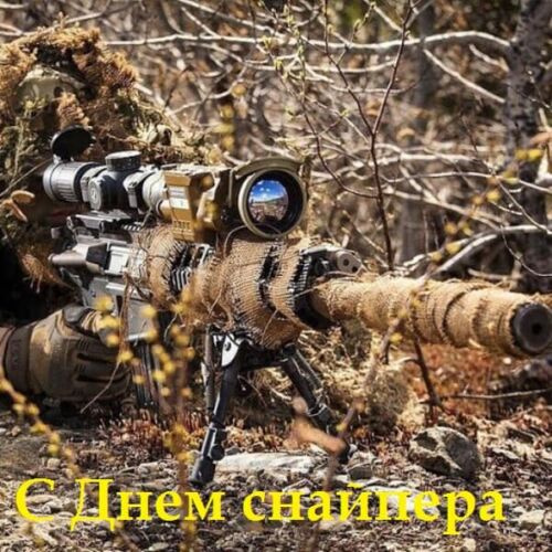 Картинки с Днем снайпера (15 открыток).