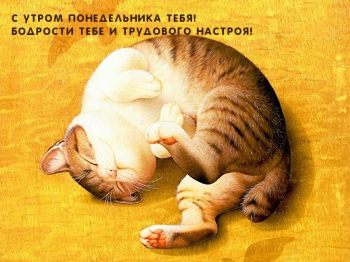 Картинки с Добрым утром понедельника (260 открыток).