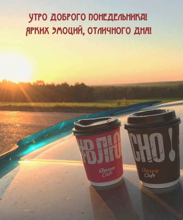 Картинки с Добрым утром понедельника (260 открыток).