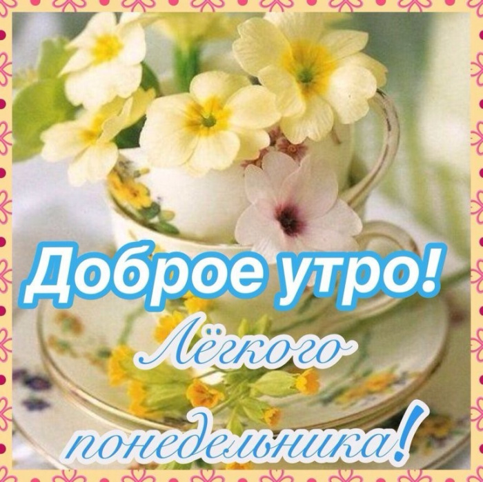 Картинки с Добрым утром понедельника (260 открыток).