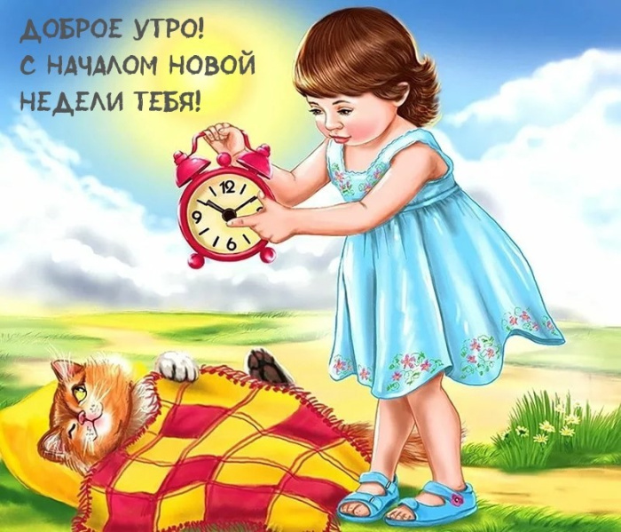 Картинки с Добрым утром понедельника (260 открыток).
