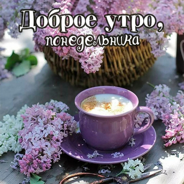 Картинки с Добрым утром понедельника (260 открыток).