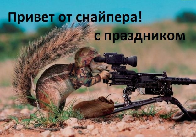 Картинки с Днем снайпера (15 открыток).