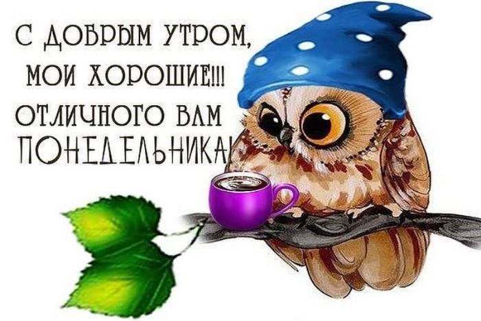 Картинки с Добрым утром понедельника (260 открыток).