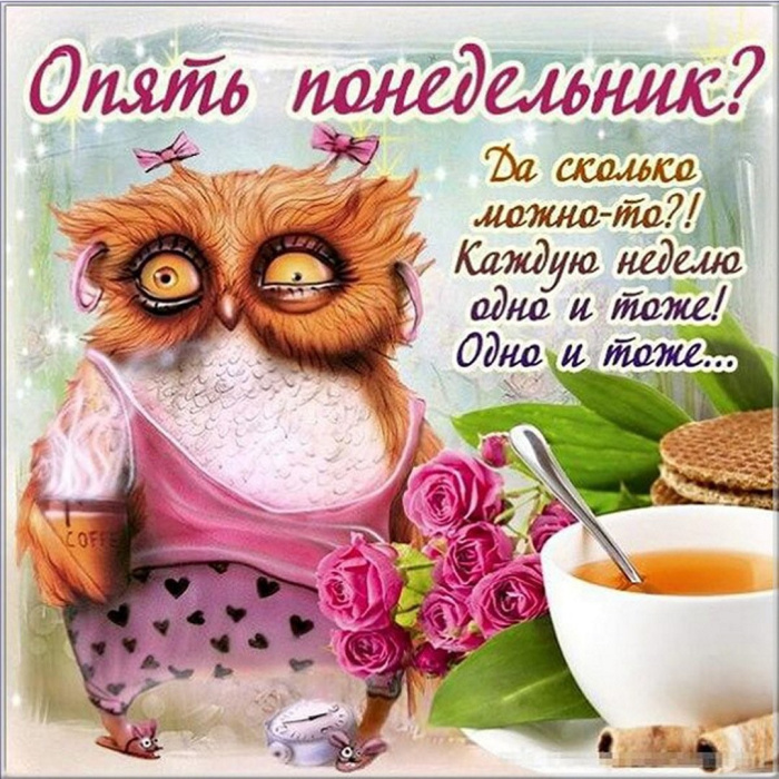 Картинки с Добрым утром понедельника (260 открыток).