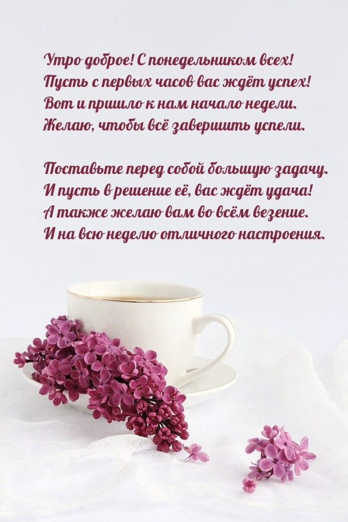 Картинки с Добрым утром понедельника (260 открыток).