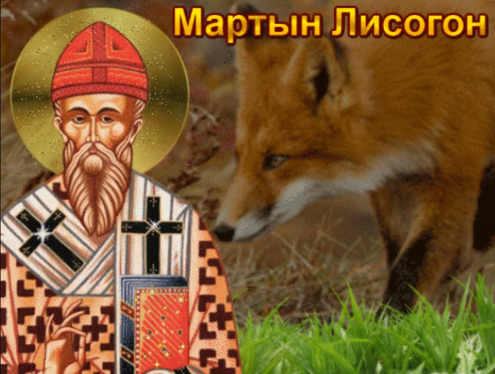 Картинки с Мартыном Лисогоном (15 открыток).