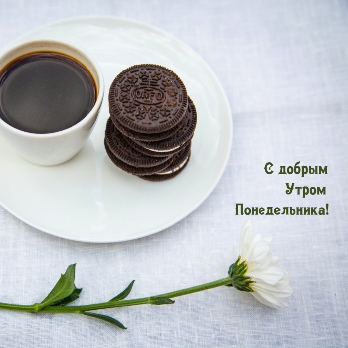 Картинки с Добрым утром понедельника (260 открыток).