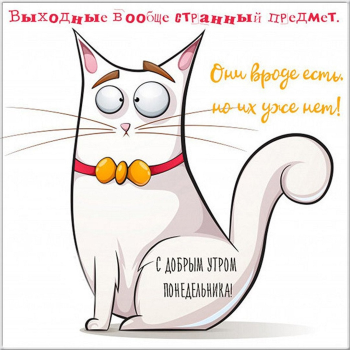 Картинки с Добрым утром понедельника (260 открыток).