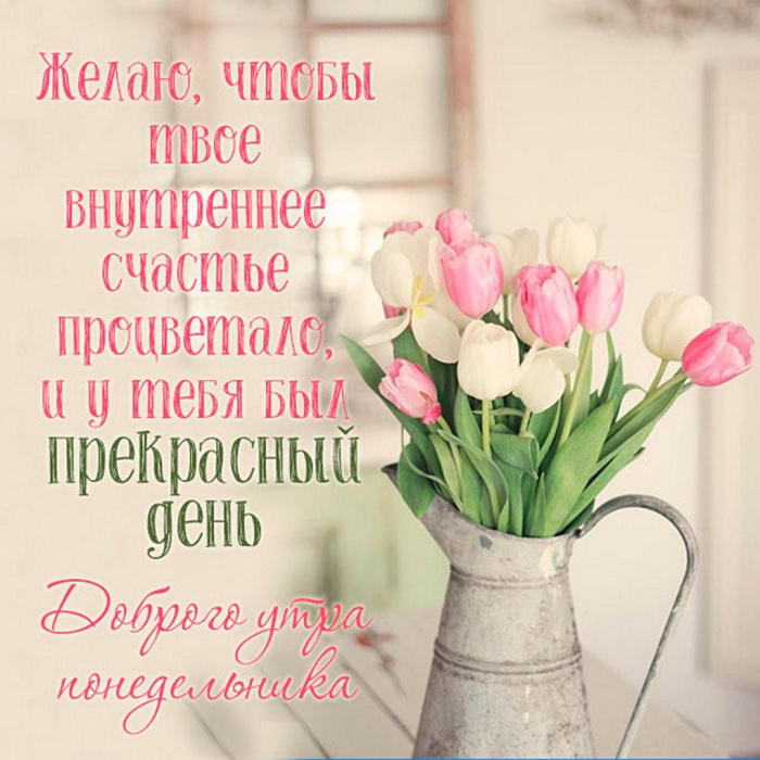 Картинки с Добрым утром понедельника (260 открыток).