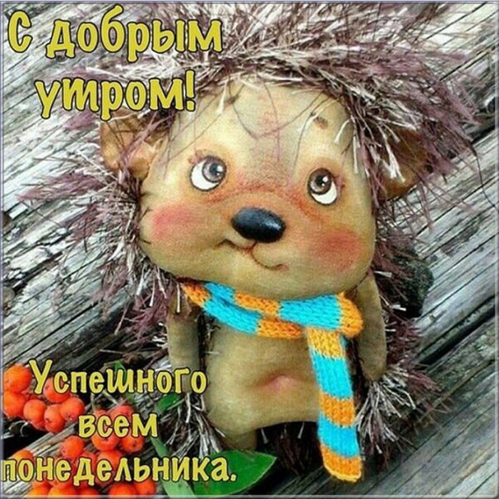 Картинки с Добрым утром понедельника (260 открыток).