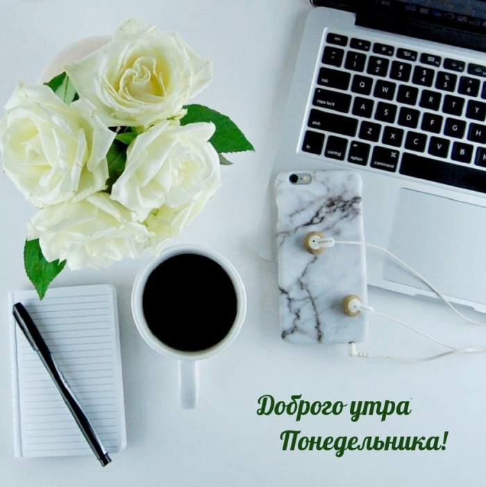 Картинки с Добрым утром понедельника (260 открыток).