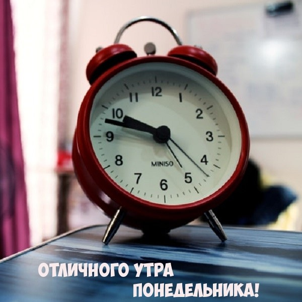Картинки с Добрым утром понедельника (260 открыток).