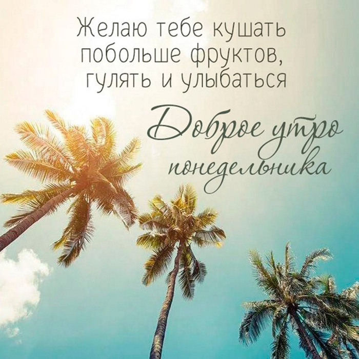 Картинки с Добрым утром понедельника (260 открыток).