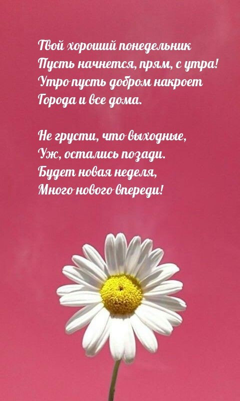 Картинки с Добрым утром понедельника (260 открыток).
