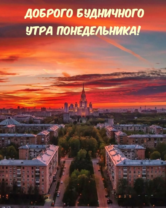 Картинки с Добрым утром понедельника (260 открыток).