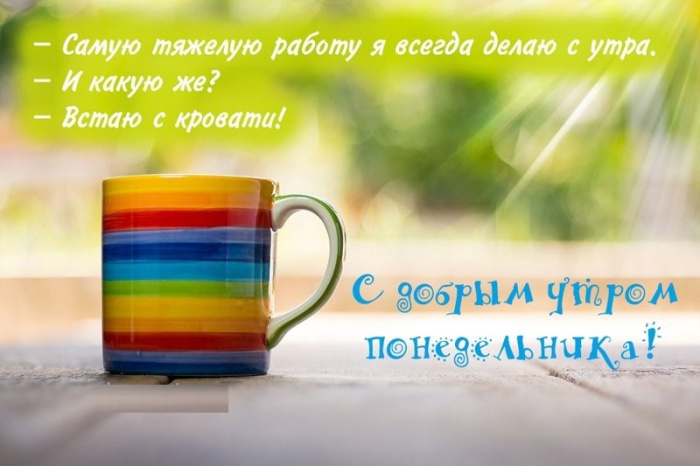 Картинки с Добрым утром понедельника (260 открыток).