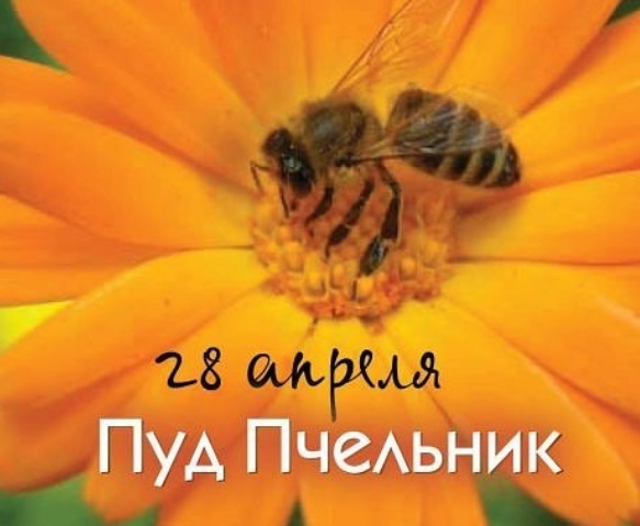 Открытки на Пудов день (14 картинок).