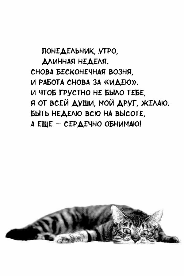 Картинки с Добрым утром понедельника (260 открыток).