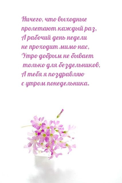 Картинки с Добрым утром понедельника (260 открыток).