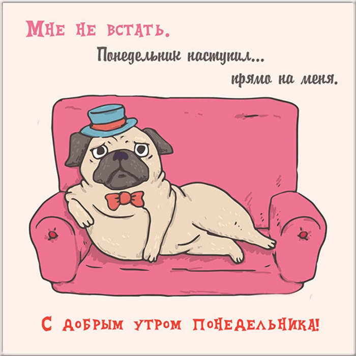 Картинки с Добрым утром понедельника (260 открыток).