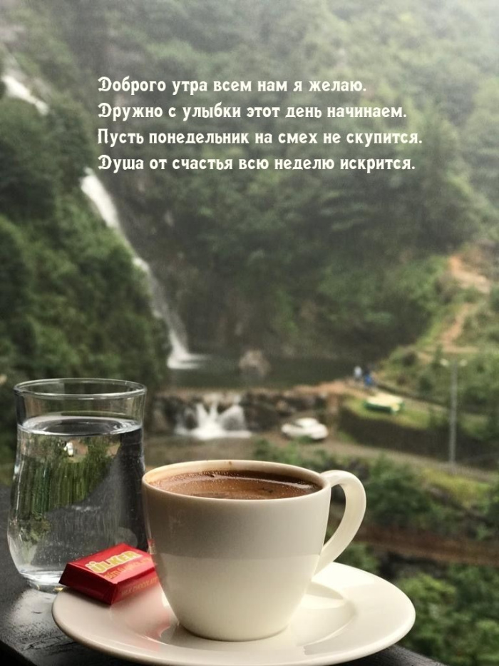Картинки с Добрым утром понедельника (260 открыток).