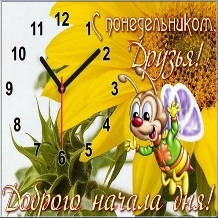 Картинки с Добрым утром понедельника (260 открыток).