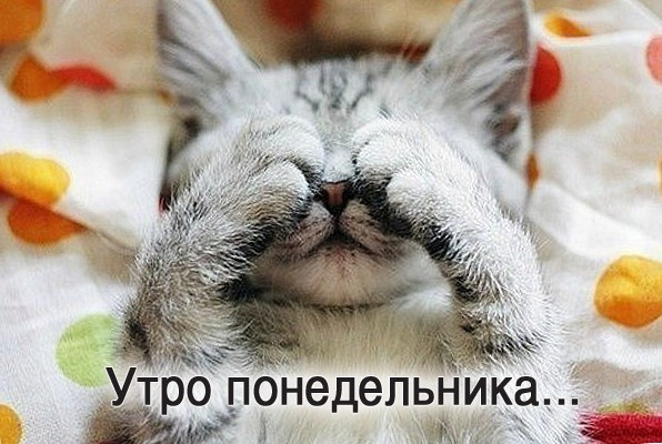Картинки с Добрым утром понедельника (260 открыток).