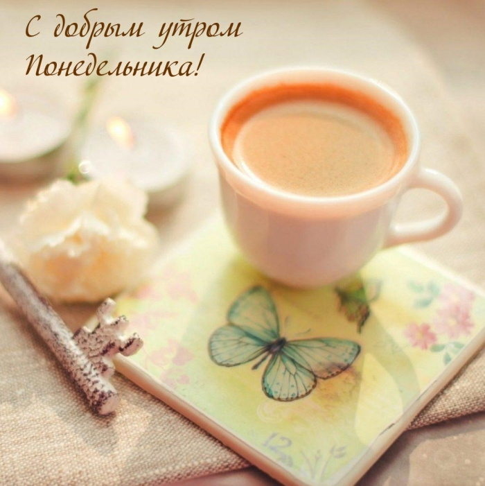 Картинки с Добрым утром понедельника (260 открыток).