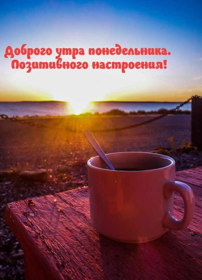 Картинки с Добрым утром понедельника (260 открыток).