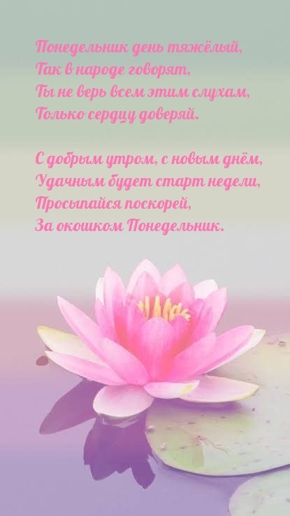Картинки с Добрым утром понедельника (260 открыток).