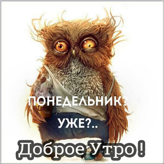 Картинки с Добрым утром понедельника (260 открыток).