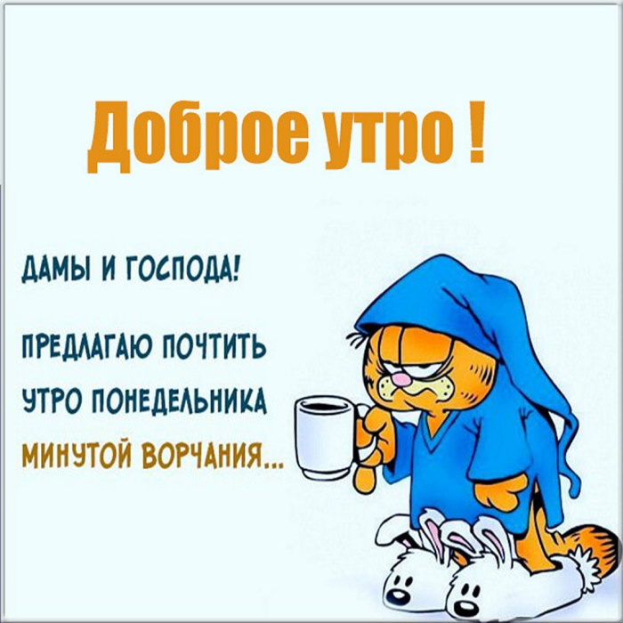 Картинки с Добрым утром понедельника (260 открыток).