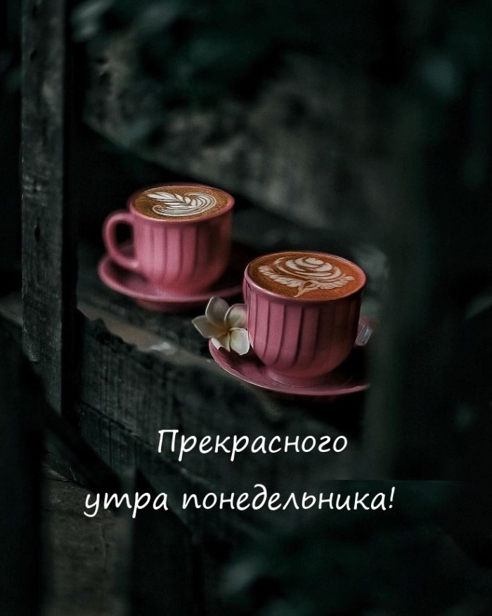 Картинки с Добрым утром понедельника (260 открыток).