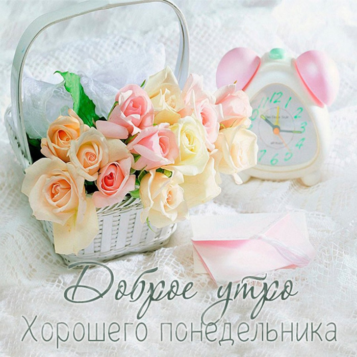 Картинки с Добрым утром понедельника (260 открыток).