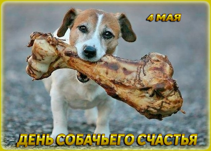 Картинки с Днем собачьего счастья (5 открыток).