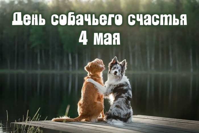 Картинки с Днем собачьего счастья (5 открыток).