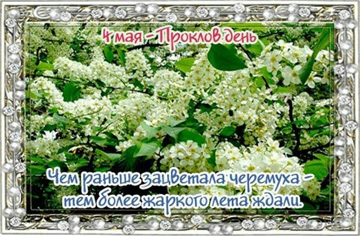 Картинки Проклов день (10 открыток).