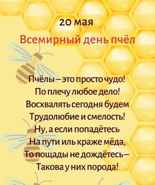 Картинки со Всемирным днем пчел (35 открыток). Всемирный день пчел: картинки с надписями и поздравлениями