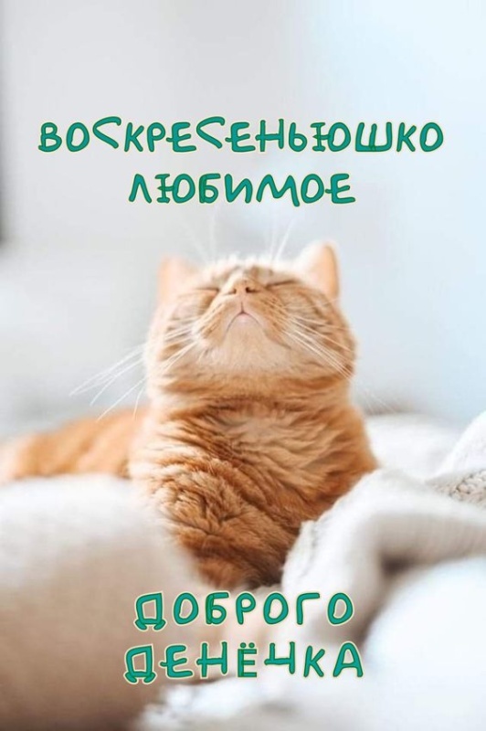 Картинки Доброе утро воскресенья (100 открыток). Прикольные картинки Доброе утро воскресенья